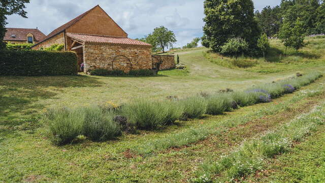 Les Producteurs en Herbes