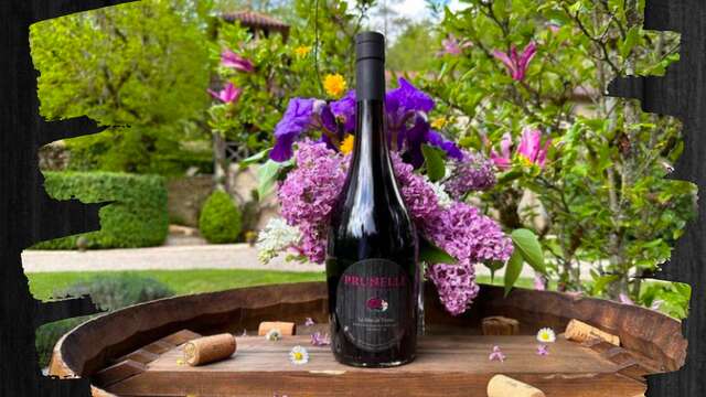 Le Mas de Tresse - Apéritifs d'Antan