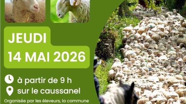 Fête de la brebis à Espédaillac