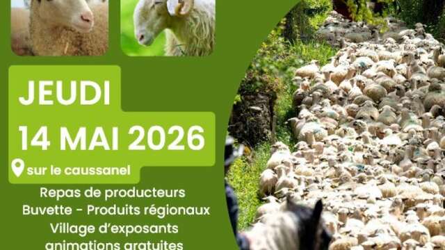 Fête de la brebis à Espédaillac