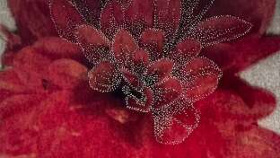 Concert Chante Fleurs