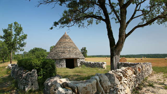 A la Découverte des Truffes