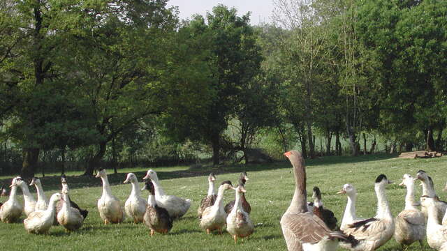 Ferme d'Esparnol