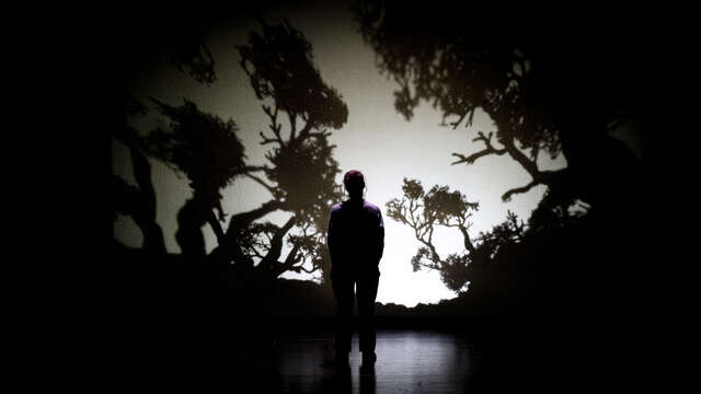 Théâtre de l'Usine - Dominique toute seule