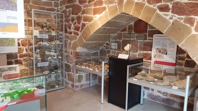 Espace de Découverte de la Faille de Meyssac et de la Pierre