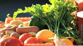 Marché de saison de Payrac