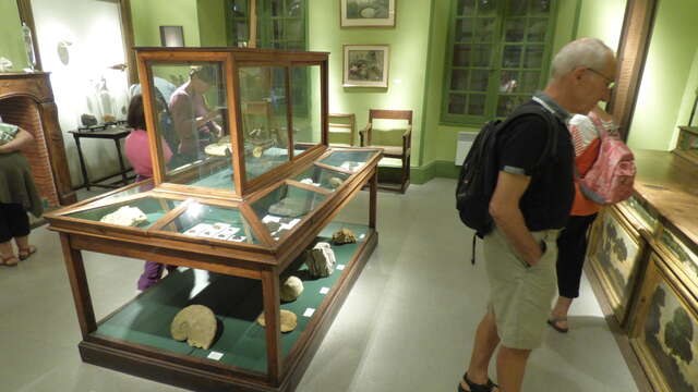 Visite du musée d’Histoire de Figeac et salons de l'ancien collège