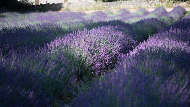 Ferme des Alix