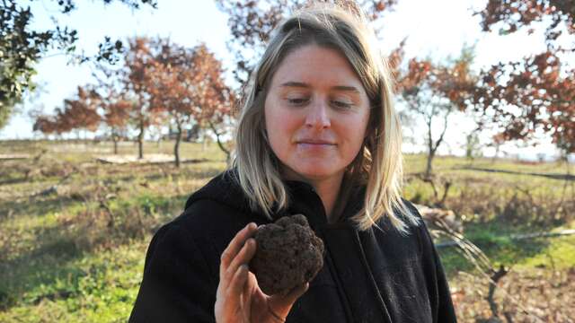 Ferme de la Truffe