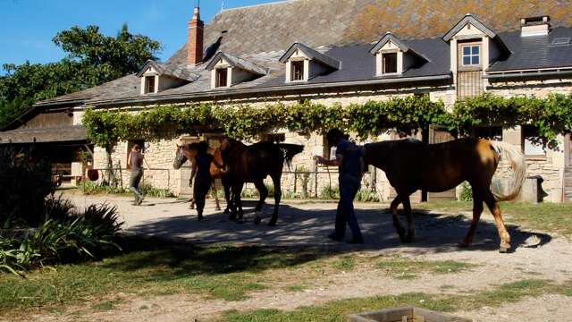 Les Ecuries De Seuzac