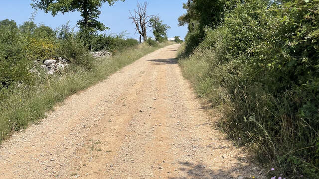 De Loubressac aux abords de la Dordogne