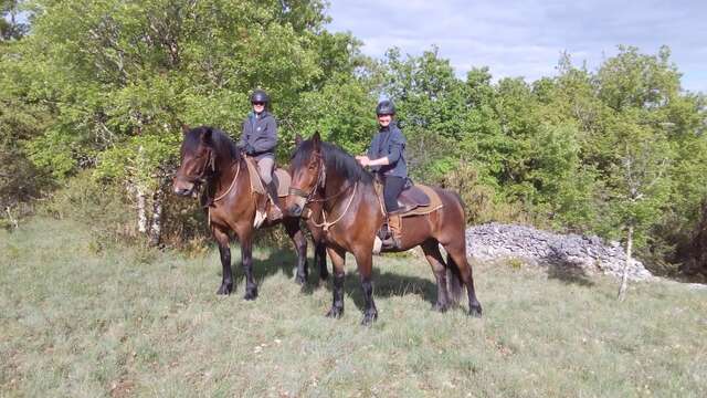 Ferme Equestre du Pech Merle