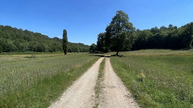 Au fil de la Thèze