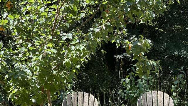 Domaine du Mombret Haut - Aire Naturelle