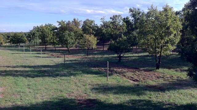 La route des paysages trufficoles