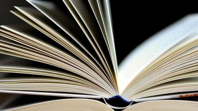 Vente publique des livres désherbés