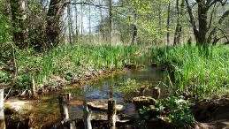 Le Marais de Bonnefont