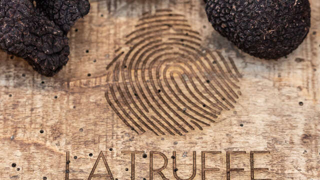 Marché aux truffes de Gramat
