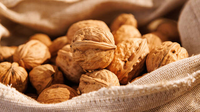Moulin à Huile de Noix