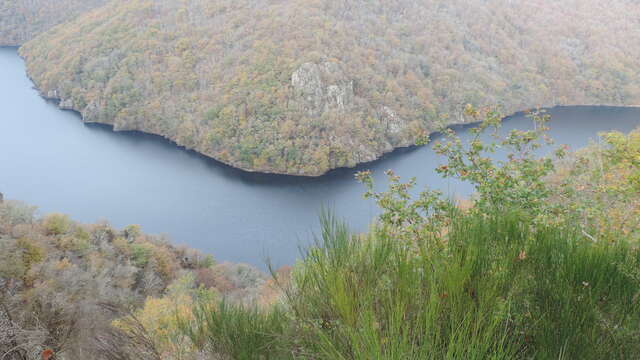 Petit Tour des Gorges de la Dordogne