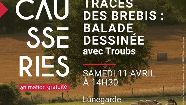 Sur les traces des brebis  balade dessinée