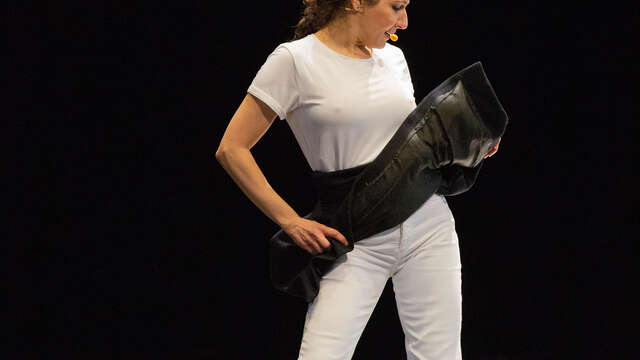 Théâtre de l'Usine - Parler Flamenco