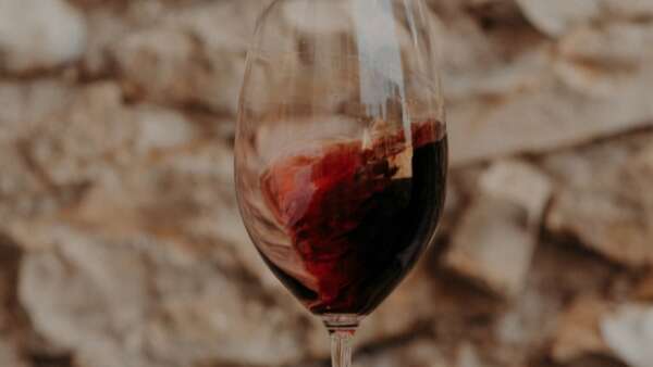 Atelier dégustation au château de Haute-Serre : découverte du Malbec