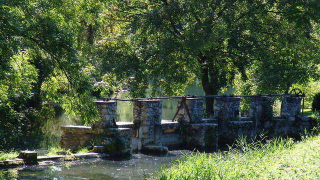 Plan d'eau de Pêche de St Germain du Bel Air