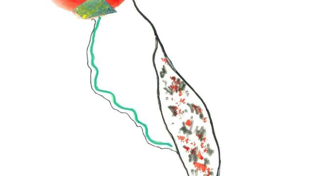 Plantez-là ! Festival, temps fort des arts du cirque !  à Assier