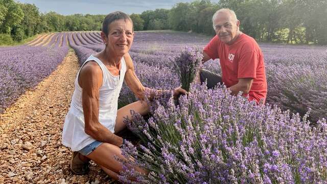 Senteurs de Roumégouse en Quercy