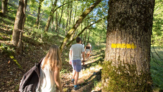 Sentier de Linars