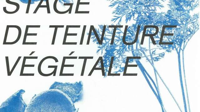 Stage de teinture végétale aux Ateliers des Arques