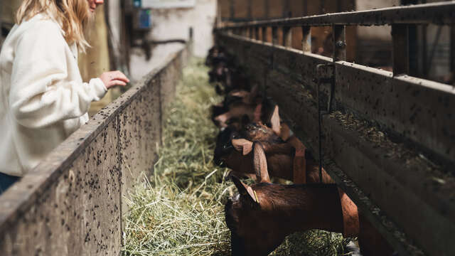 Dor'Lot Emerveille : Visite à la Ferme La Borie d'Imbert