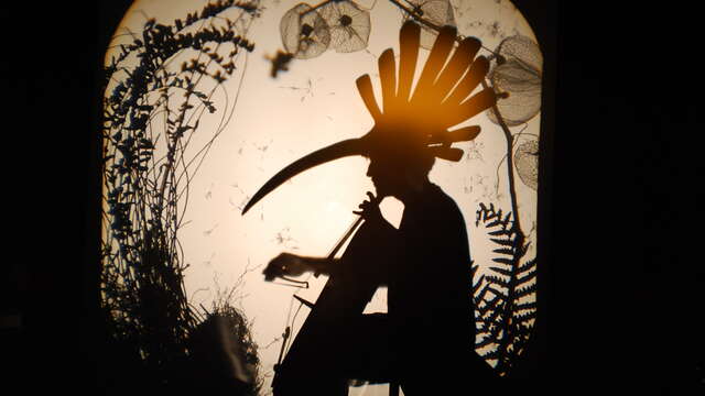 Théâtre de l'Usine - Volatile ombré