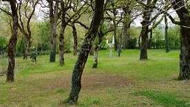 Aire du Camping Bel Air