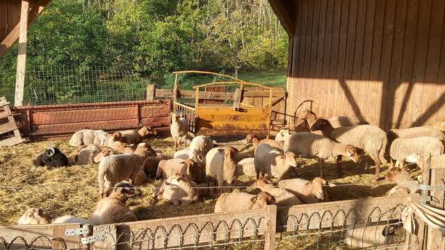 Ferme Pédagogique du Massarrat