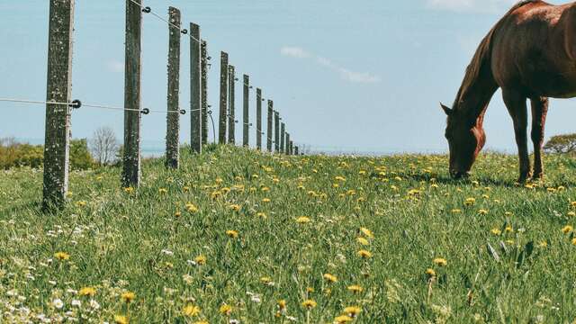 Le Lot de Ferme en Ferme : Découverte de la ferme du Dariben