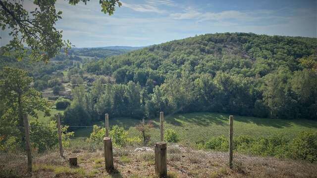 Causse Toujours