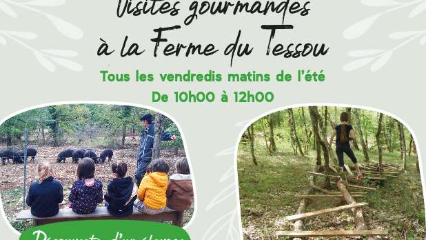 Visite et dégustation à la ferme du Tessou