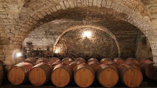 Les Vignobles St-Didier Parnac - Château Saint-Didier/Prieuré de Cénac/Château de Grézels