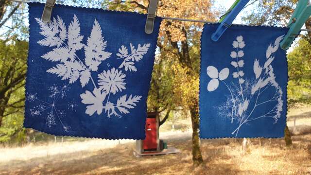 Atelier cyanotype
