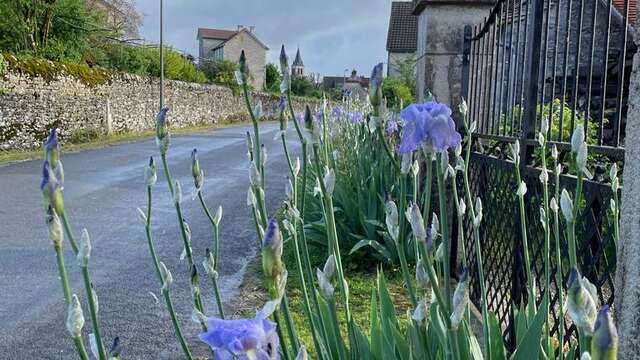 La Roubidoune “La Grange”