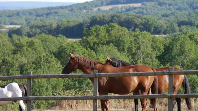 Centre Equestre de Grand Lac