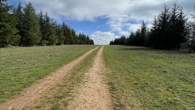 Des falaises de Saint-Cirq-Lapopie à la forêt de Monclar