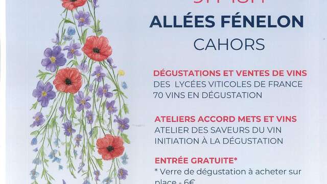 Fête des vins du Domaine de Lacoste