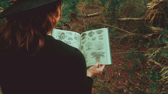 Dans le cadre du festival "les nuits des forêts",  balades commentées