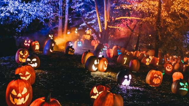 Halloween aux Tours de Merle : Saynète « Paroles de fantômes ! »