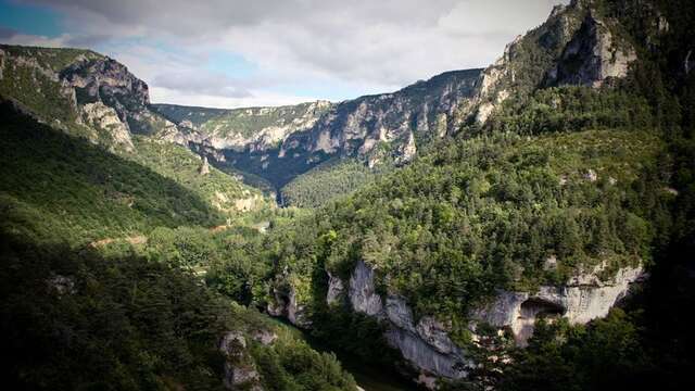 LE 107 - ELASTIC NATURAL BUNGEE