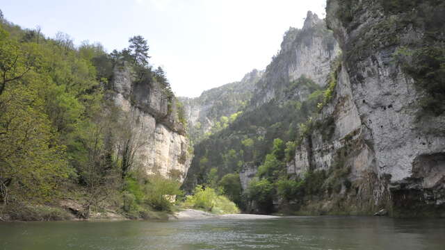 LA MALÈNE - LE CIRQUE DES BAUMES
