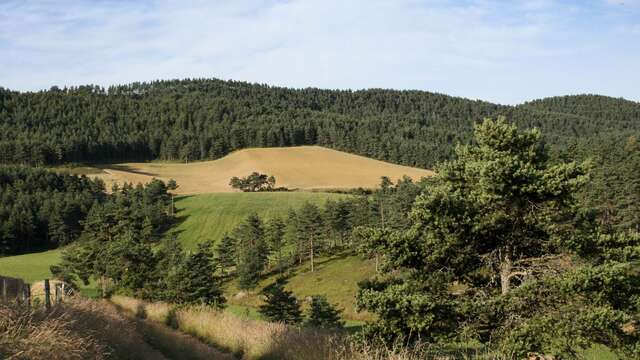 Le Mazelet - VTT n°1